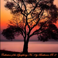 Symphony No. 3 in E-Flat Major, Op. 55: III. Scherzo Allegro vivace - Munich Symphony Orchestra & Hans Knappertsbusch & Ludwig van Beethoven