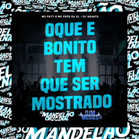 Oque e Bonito, Tem Que Ser Mostrado - MC PETT & MC Fefe Da ZL & dj novato