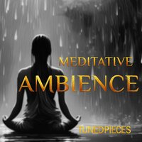 Showers of Ambience - TUNEDPIECES & Eric McCaine