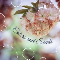 Spiritual Eye - Meditation Spa Society