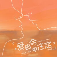 爱的命中注定 - 张禾禾 & 张帅