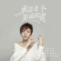 承诺是个美丽的谎 - 魏佳艺 & DJ彭锐