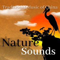 Tea Houses - Chinese Traditional Erhu Music & Heart Of The Dragon Ensemble & Chinese Channel