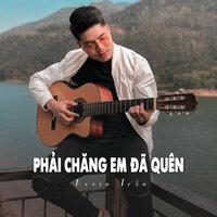 Phải Chăng Em Đã Quên - Kevin Trần
