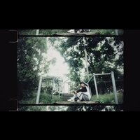 lost birds - Siii3eyes & flamingo zamperoni