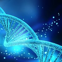 Temple Song - Govinda & Love Calò