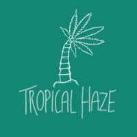 Tropical Haze - moO