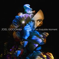 Drifting in Wonder - Joel Goodman & Adam Rogers & Donny McCaslin