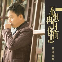 不想再为你伤悲 - 望海高歌