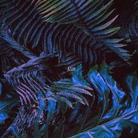 The Faint Reflection of Stars - Ash