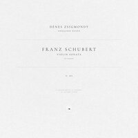 Violin Sonata in D Major, D. 384: I. Allegro molto - Франц Шуберт & Dénes Zsigmondy & Annaliese Nissen