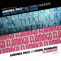 Flamingo - Andrea Paci & Corey Andrew