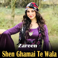 Shen Ghamai Te Wala - Zareen