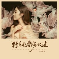野草也曾伤心过 - 金钰儿 & 京仔