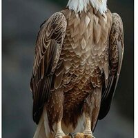 One More Hour (Sped Up) - Cutie Pie