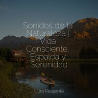 Claridad Cristalina - Sueño Profundo & Naturaleza & Meditação Yoga Maestro
