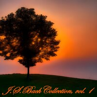 Brandenburg Concerto No. 3 in G Major, BWV 1048: III. Allegro - Wiener Philharmoniker & Wilhelm Furtwängler & Johann Sebastian Bach