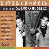 Doing Your Own Thing - Dave & Ansel Collins & Ansel Collins & Dave Barker