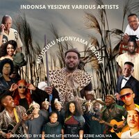Misuzulu Ngonyama Yesizwe - Indonsa Yesizwe & Lady Du & Phuzekhemisi & Mbuzeni & Sbu Banda & Nkiyase
