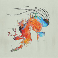 No Sunset For Soul - Monty & Liam Bailey