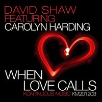 When Love Calls - David Shaw