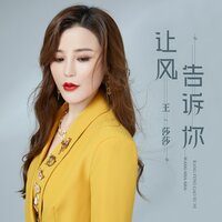 让风告诉你 - 王莎莎 & DJ何鹏