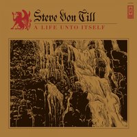 Chasing Ghosts - Steve Von Till