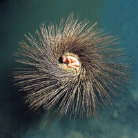 The Tower That Ate People - Peter Gabriel