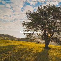 Background for Massage Therapy - Relaxing Spa Music Collections