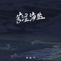 苦涩海盐 - 林氧气