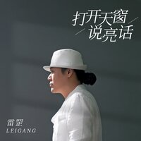 打开天窗说亮话 - 雷罡 & DJ小刚