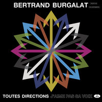 Too Much - Bertrand Burgalat