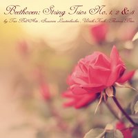 Three String Trios, Op. 9, Trio No. 1 in G Major: I. Adagio - Allegro con brio - Trio Bell'Arte & Ludwig van Beethoven