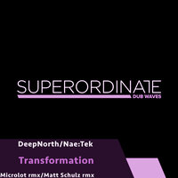 Transformation - Nae:Tek & DeepNorth & Matt Schulz