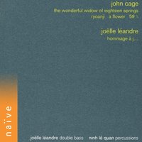 The Wonderful Widow of Eighteen Springs - Joëlle Léandre & Joëlle Léandre, Ninh Lê Quan & Ninh Lê Quan & John Cage