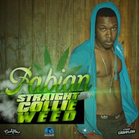 Straight Collie Weed - Fabian