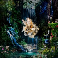 Perpetual Motion - INF & Niceandfuzzy