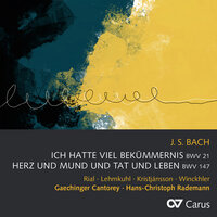 J.S. Bach: Herz und Mund und Tat und Leben, Cantata BWV 147 / Pt. 1 - 6. "Wohl mir, dass ich Jesum habe" - Gaechinger Cantorey & Hans-Christoph Rademann & Johann Sebastian Bach