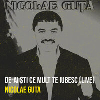 De-Ai Sti Ce Mult Te Iubesc - Nicolae Guta