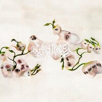 Apathy & Rage - Chris Conde & Venetian Snares