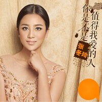 你是不是值得我爱的人 - 张冬玲