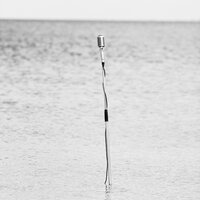 Velkommen Til Medina - Medina