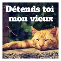 Frozen Time - Oasis de Détente et Relaxation & Zen Ambiance d'Eau Calme & Relaxation Sommeil et Détente