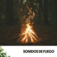 Glückselige Vogelgesang-Symphonie - Ruido Blanco Hart & Sonidos de fuego & Travail Bureau France