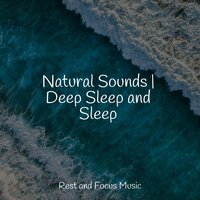 Clear Wandering - Baby Sleep Lullaby Academy & Yoga Workout Music & Wellness