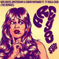 Are You Sure? - Kris Kross Amsterdam & Conor Maynard & Ty Dolla $ign & Mosimann