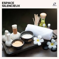 Âme Douce - Musique Zen Garden & Spa Musique Collection & Musique Spa Relaxante & Massage Sérénité Musique