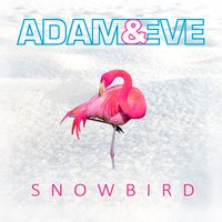 Snowbird - Adam & Eve