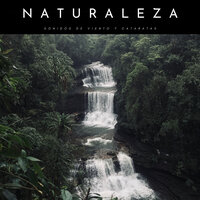Estruendo De Cataratas - Naturaleza Sonidos & Sonidos de Cascadas & Maestros de música de la meditación