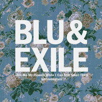 Mask Your Soul - Blu & Exile & Exile